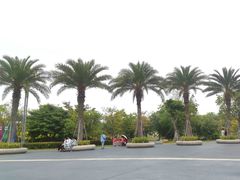 -宝安西湾红树林湿地公园