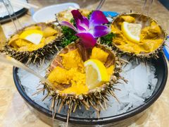 -老大连·海肠捞饭·大连海鲜大连菜(西安路店)