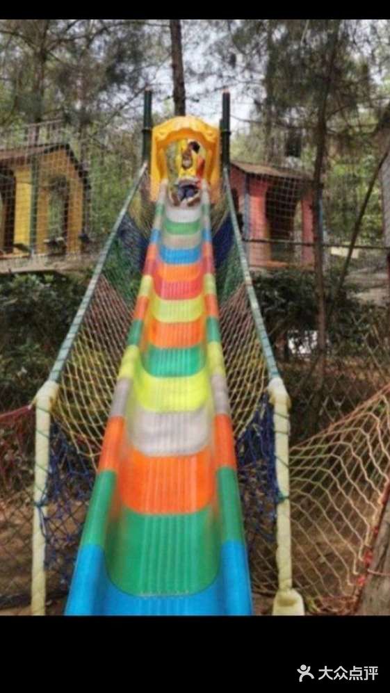 小小松鼠森林公园[胜利]