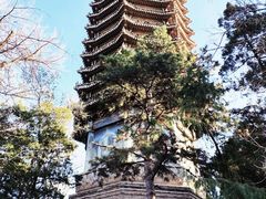 -博雅塔
