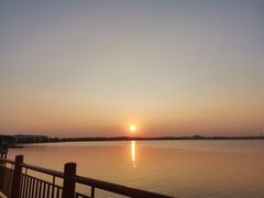 -鹅湖玫瑰文化园