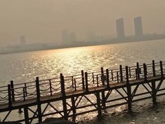 瑶湖郊野森林公园-瑶湖郊野森林公园