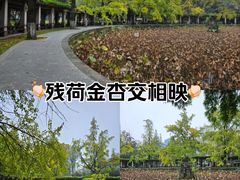 -四川大学(华西校区)