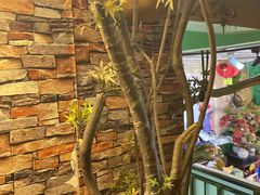 -食德喜·阳山鸡王食研基地
