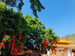 -深圳仙湖植物园