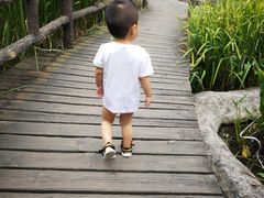 -成都市活水公园