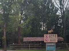 -秦皇岛野生动物园