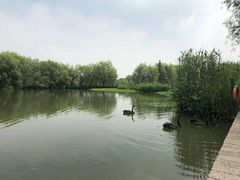-长兴太湖图影湿地文化园