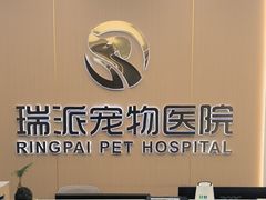 -瑞派康怡24h宠物医院·犬猫医疗中心·微创绝育(瑞景分院)