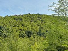 -天目湖御水温泉·度假酒店