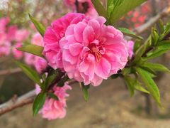 -北京西山国家森林公园