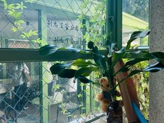 -绿房子方寸咖啡(星海名城店)