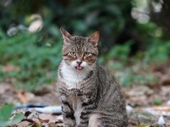 -苏州河梦清园环保主题公园