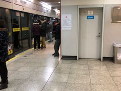 -桃浦新村(地铁站)