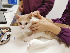 -惠康宠物医院(华能路店)