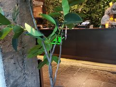 -外婆家(杭州马塍店·杭帮菜名店)
