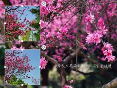 -白塘生态植物园