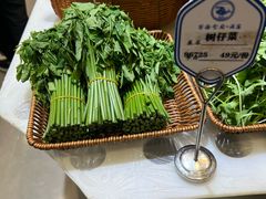 -宁海食府·涌宴(真和店)