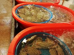 -东河市场