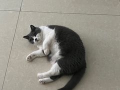 -宠颐生动物医院·心脏科·保险定点(锦阳分院)