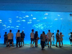-鹿儿岛水族馆