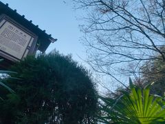 -汤山一号温泉度假区