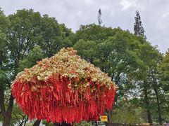-狼山风景名胜区
