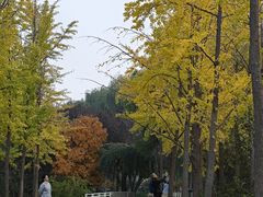 -石家庄市植物园