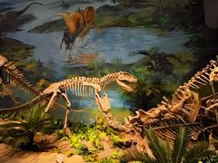 -自贡恐龙博物馆