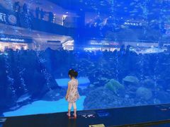 -成都浩海立方海洋公园