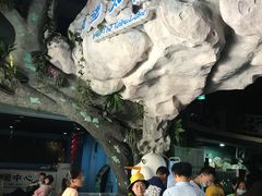 -苏州海洋馆