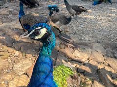 -南京金牛湖风景区