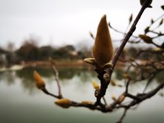 -杭州六谷生态休闲农庄有限公司