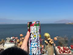 -野菌皇海景野生菌火锅(滨海大道店)