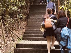 -凤栖山