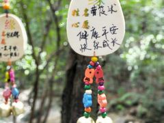 -九龙江国家森林公园