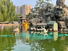 -团结湖公园