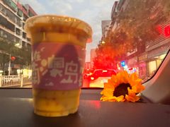 -南澳岛打卡果汁冰公司