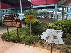 -光明农场大观园