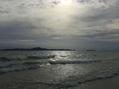 -卷心菜和避孕套餐厅(Pattaya)