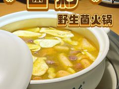 -菌彩云南野生菌火锅(万达广场店)
