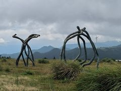 -龙里油画大草原旅游区