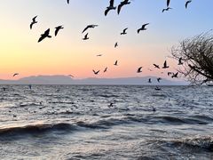 -捞渔河湿地公园