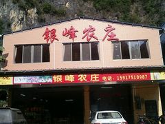 门面-银峰农庄·特色烧鸡·鲜无花果浸鸡