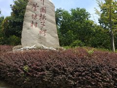 -中国扬子鳄村