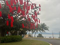 -深圳湾公园(南山区)