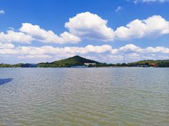 -上海月湖雕塑公园