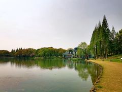 -新洲生态园