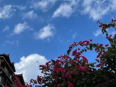 -程阳八寨景区