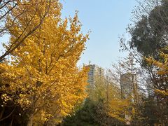 -长白岛森林公园